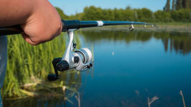 Pesca la carpa ms grande del mundo y acaba temblando: 'No estaba seguro de si cabra en la red'