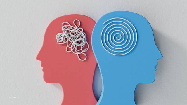Cientficos descubren cmo se entrena el cerebro: este es el momento clave del da