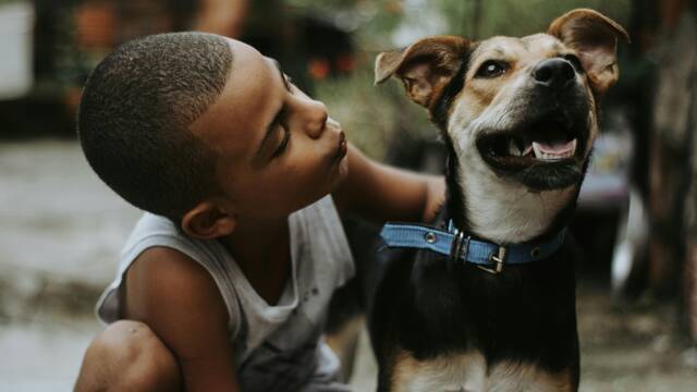 La ciencia lo confirma: cient�ficos espa�oles demuestran el �xito de esta terapia para mejorar la conducta