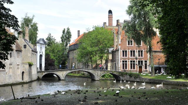 Ni Segovia ni Toledo: esta ciudad sufre una oleada de robos ins�litos sin que las autoridades logren frenarlos