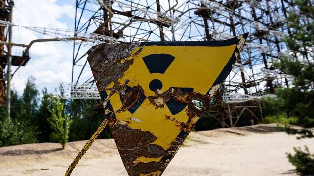 Cient�ficos descubren un hongo radioactivo que sobrevive y se alimenta gracias a la energ�a nuclear: 'No tiene l�gica alguna'