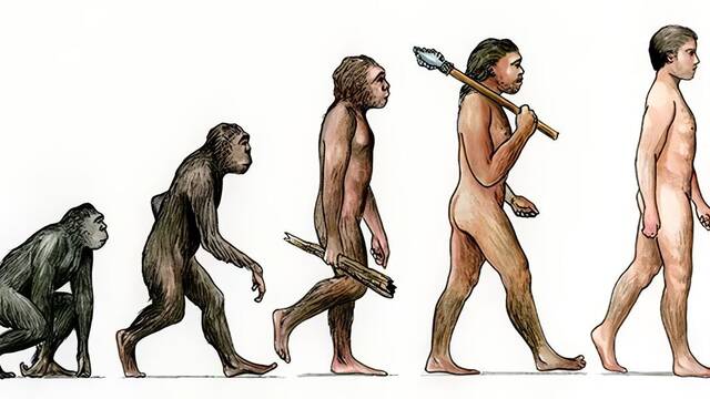 China desaf�a a Darwin: un experimento pone en duda la teor�a cient�fica m�s aceptada de la evoluci�n