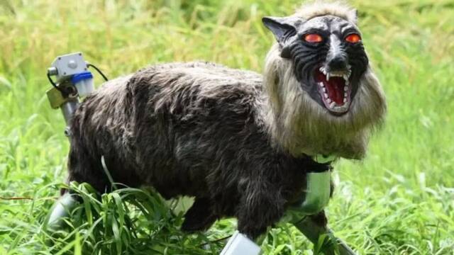 Jap�n desaf�a las normas: crea estos terror�ficos 'lobos robots' para luchar contra los ataques de oso a lo largo de 2026