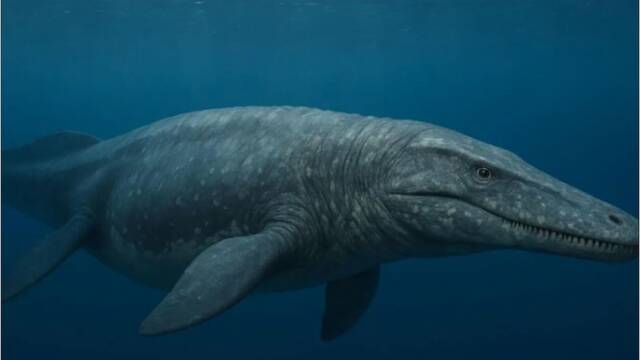 Marruecos desaf�a las normas: desentierra a un superdeprador marino de 66 millones de a�os que cambia el equilibrio natural