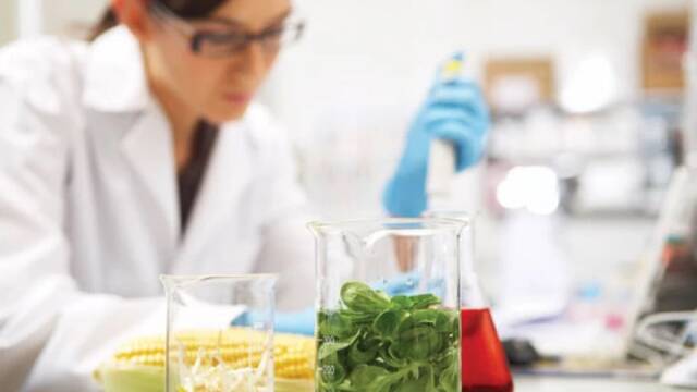 Espa�a endurece las normas: aumentan los controles de calidad y productos alimentarios de origen animal y vegetal en fronteras