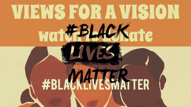 El vdeo viral del Black Lives Matter recauda ms de 21.000 dlares