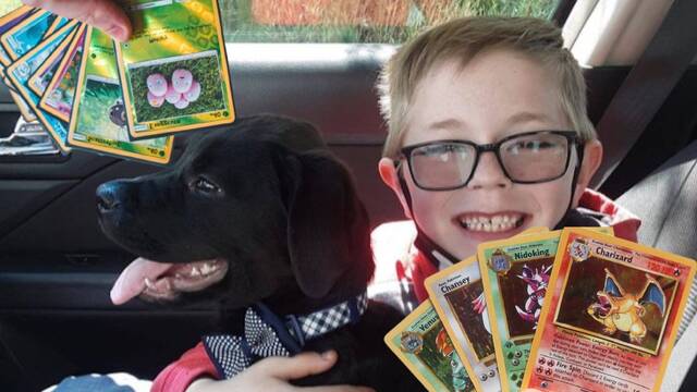 Final feliz para el nio que vendi sus cartas de Pokmon para curar a su perro