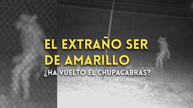 La extra�a figura aparecida en un zoo de Texas que nadie es capaz de identificar