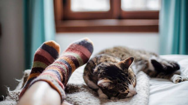 La ciencia explica por qu dormir con los calcetines puestos puede ser perjudicial para la salud