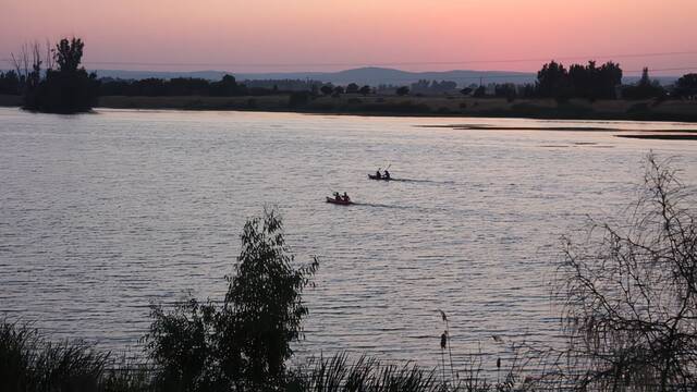 Graban una misteriosa criatura en uno de los mayores ros de Espaa: los pescadores aseguran que es un tiburn