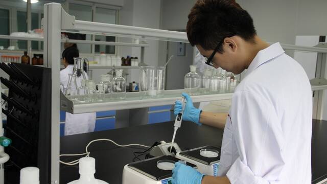 Cient�ficos descubren un 'gigante' de 40 metros: sigue vivo y podr�a tener 3.000 a�os de antig�edad