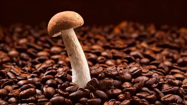 Ni az�car ni canela: la ciencia es rotunda sobre lo que no debes a�adir al caf� y advierte sobre los hongos