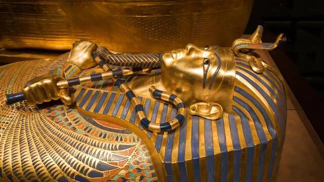 No es ciencia ficci�n: el hongo maldito hallado en la tumba de Tutankam�n podr�a curar ciertos tipos de c�ncer