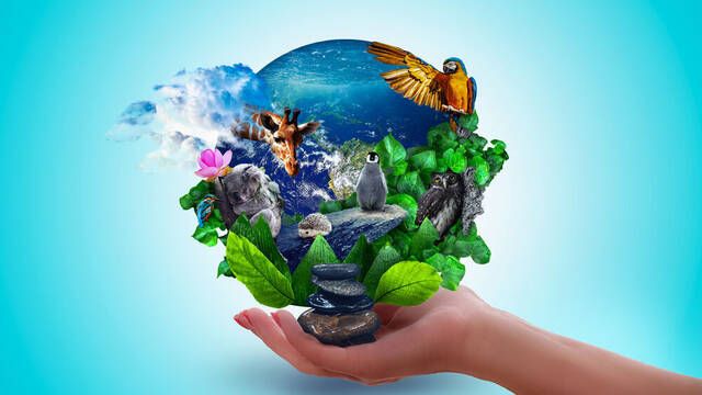 Cient�ficos descubren la �nica regla que explica toda la vida en la Tierra: cambiar� lo que sabemos de biodiversidad