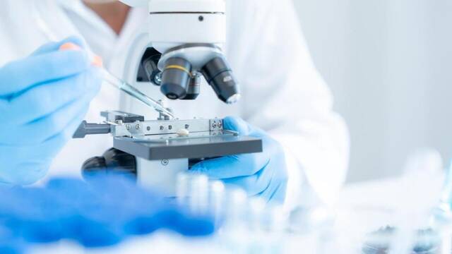 Cientficos espaoles descubren antibiticos naturales: pueden eliminar infecciones muy graves