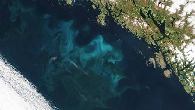 Im�genes desde el espacio revelan una 'estructura desconocida' de m�s de 8000 kil�metros en el oc�ano Atl�ntico