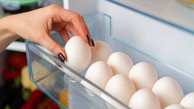 La ciencia lo confirma: guardar los huevos en la nevera tiene grandes riesgos si no se tienen en cuenta estos consejos