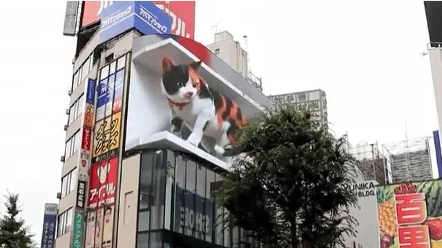 Es un gato gigante en una valla publicitaria? Es una imagen en 3D que tiene truco