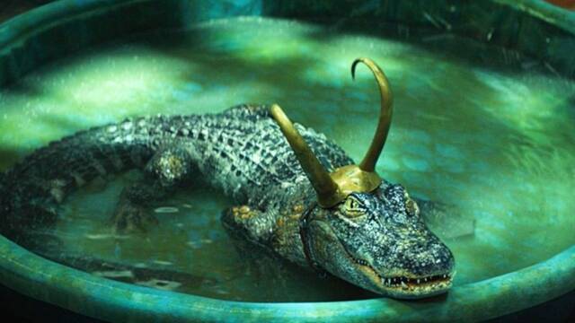 Loki: As es 'el actor' que interpreta al adorable Alligator Loki