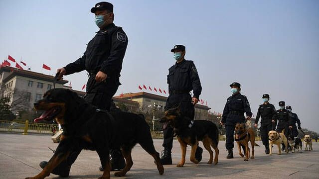 Academia de perros policas en China est subastando 54 canes por ser tmidos