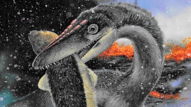 Las plumas ayudaron a los dinosaurios a sobrevivir la extinción del Triásico