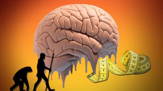 Nuestro cerebro podr�a estar encogiendo de tama�o por culpa del cambio clim�tico seg�n un estudio