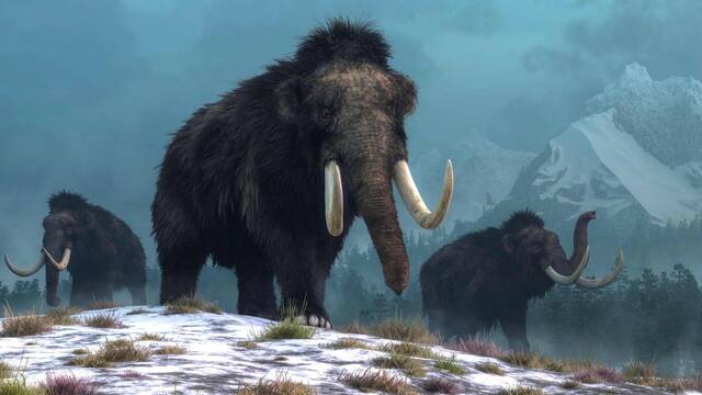La ciencia est a punto de revivir a los mamuts como en 'Jurassic Park': hallan la ltima pieza de su ADN