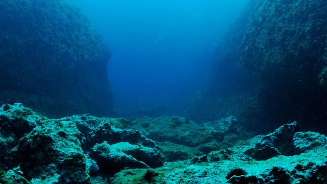 El oxgeno oscuro: La ciencia descubre en el fondo del mar una fuente de energa desconocida