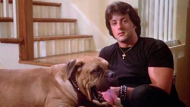 Sylvester Stallone era tan pobre que tuvo que vender a su perro hasta que 'Rocky' salv su vida, y a su mascota