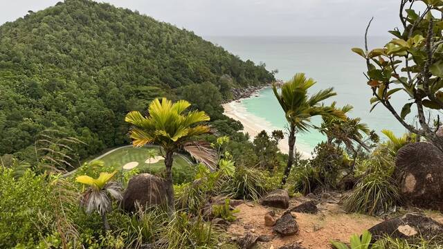 Naci antes del telfono y lleva casi dos siglos viva: esta criatura de las Seychelles es el animal terrestre ms longevo