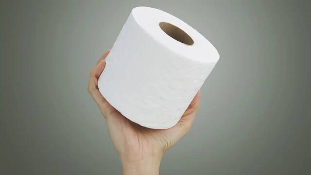El fin del papel higinico? Europa estudia adoptar la manguera asitica para frenar la deforestacin