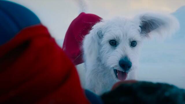 El perro de 'Superman' salva la pelcula y conquista a la audiencia: Krypto dispara las ganas de adoptar en todo el mundo