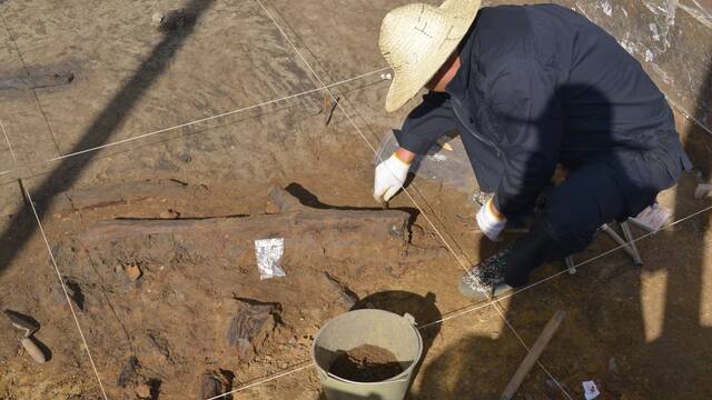 Cientficos chinos reescriben la prehistoria con unas extraas herramientas de madera intactas de hace 300.000 aos