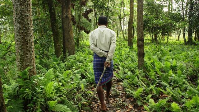 Un hombre plant� miles de �rboles durante 40 a�os: fren� un des�rtico banco de arena y cre� un 'bosque infinito' con animales