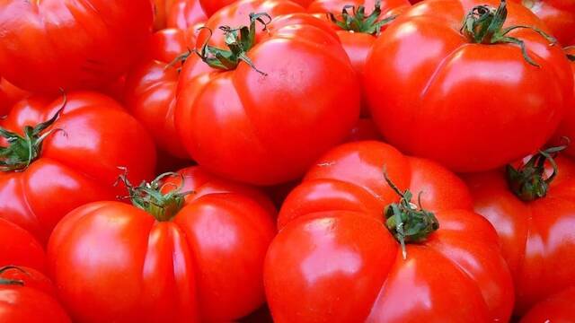 Jos� Miguel Mulet, bi�logo: 'Seleccionar ese color rojo m�s bonito en los tomates ha hecho perder todo el sabor'