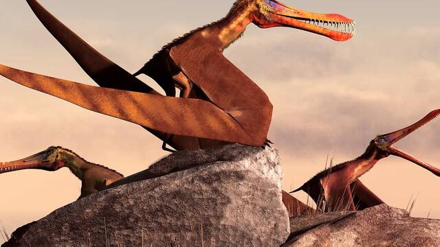 Encuentran un pterosaurio de aspecto temible y siete metros de largo en Australia