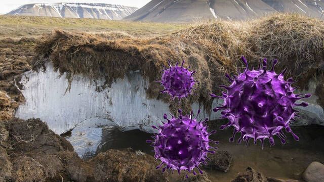 El virus ms grande del mundo permanece bajo las capas de hielo del rtico