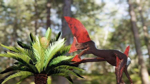 Una redada en Brasil revela un pterosaurio perfectamente conservado