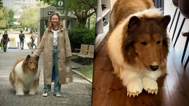 Un japons se gasta 15.000 dlares para convertirse en un perro y sale a dar su primer paseo