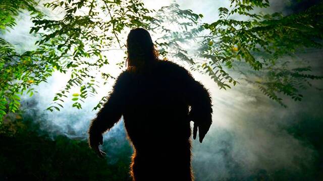 Este enigmtico vdeo viral presenta las mejores imgenes del Bigfoot jams filmadas