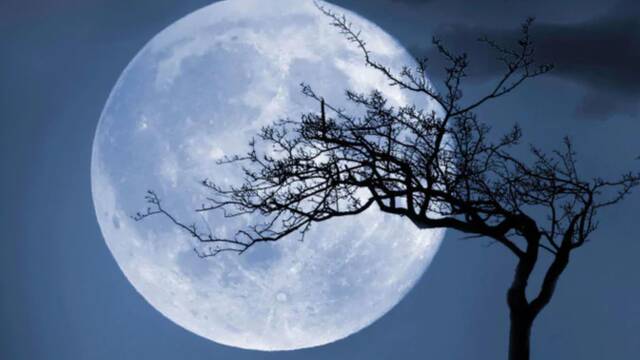 Llega la Superluna Azul: �A qu� hora podr�s ver este fen�meno astron�mico y por qu� se llama as�?