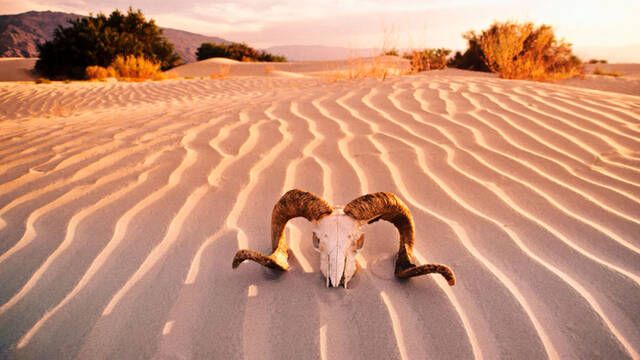 En EE.UU. hay un lugar con la temperatura ms extrema del planeta y atravesarlo provoca quemaduras de tercer grado