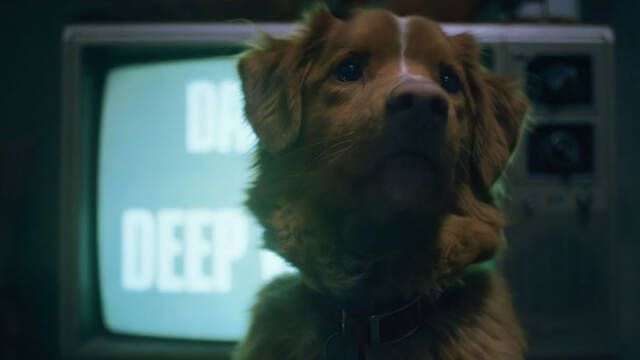 'Good Boy', el terror visto por un perro al estilo 'Agallas, el perro cobarde', revela sus primeras im�genes