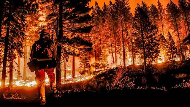 Ni especulaci�n urban�stica ni conspiraciones: esta es la realidad detr�s de los incendios que est�n asolando Espa�a