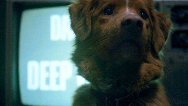 El perro conquista a la cr�tica y al p�blico: la pel�cula de terror Good Boy se estrenar� en salas tras hacerse viral