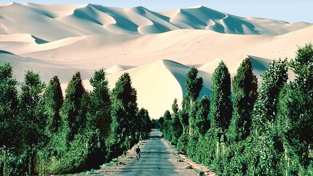 China consigue absorber el 5% del CO2 con una 'Gran Muralla Verde' que ha empeorado la salud de miles de ciudadanos