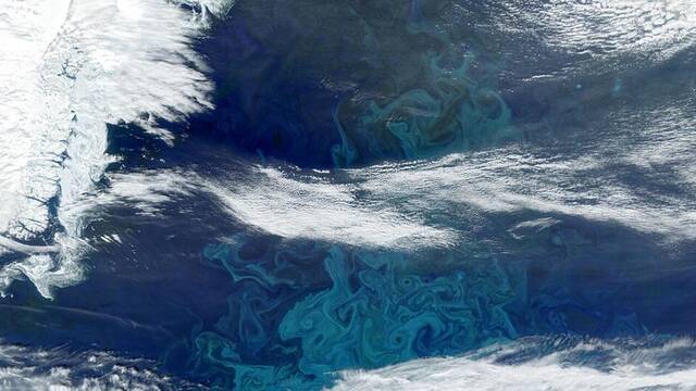 La NASA alerta: el deshielo de Groenlandia dispara el crecimiento del plancton� y no es buena noticia