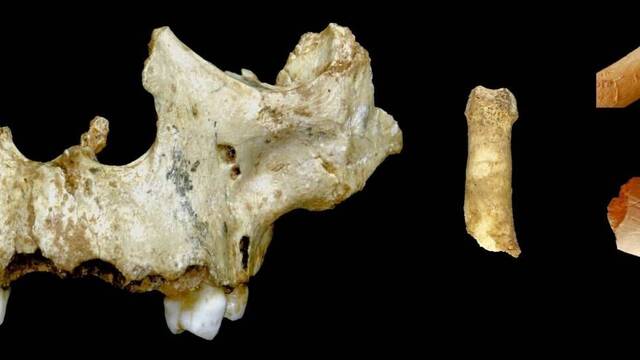 No es una pel�cula de terror, descubren que los hombres de Atapuerca eran can�bales: 'No fue por hambruna extrema'