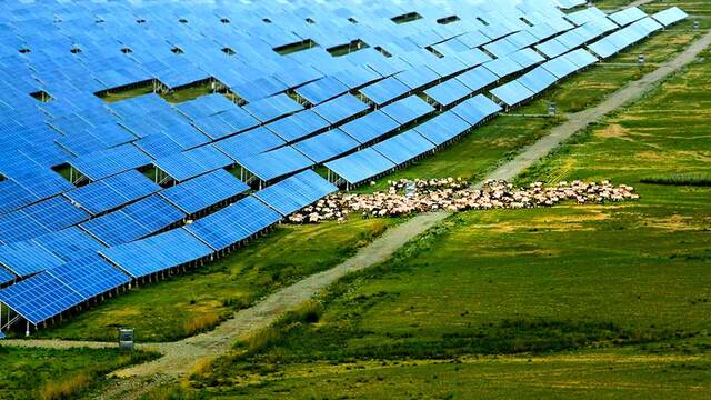 China plant� 6 millones de placas solares en el desierto: tras 10 a�os, est� 'verde' y es la granja solar m�s grande del planeta