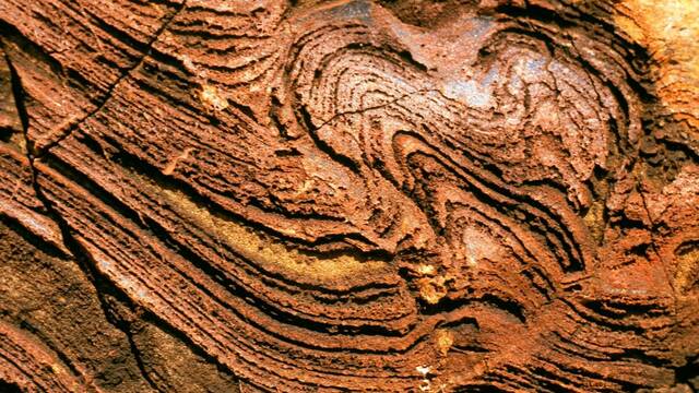 Ya es oficial: cient�ficos hallan la que puede ser la evidencia de vida m�s antigua de la Tierra, de hace 3500 millones de a�os